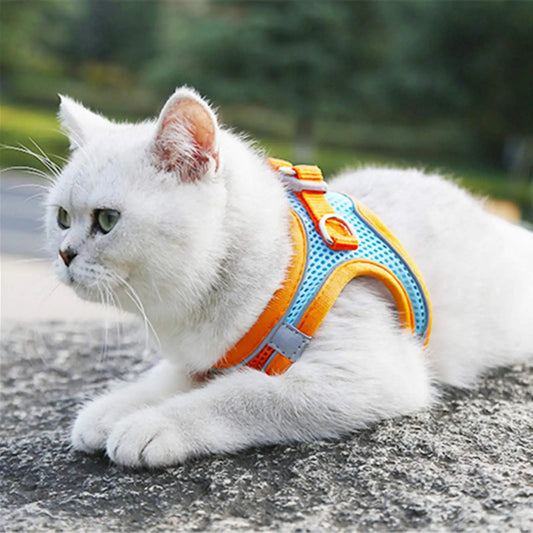 FreiKatz – Das sichere Katzengeschirr 2.0