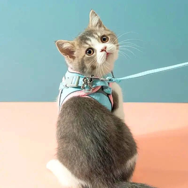 FreiKatz – Das sichere Katzengeschirr