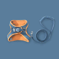 Blau und Orange
