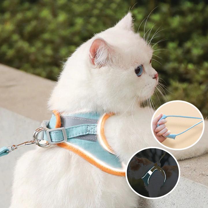FreiKatz – Das sichere Katzengeschirr