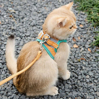 FreiKatz – Das sichere Katzengeschirr