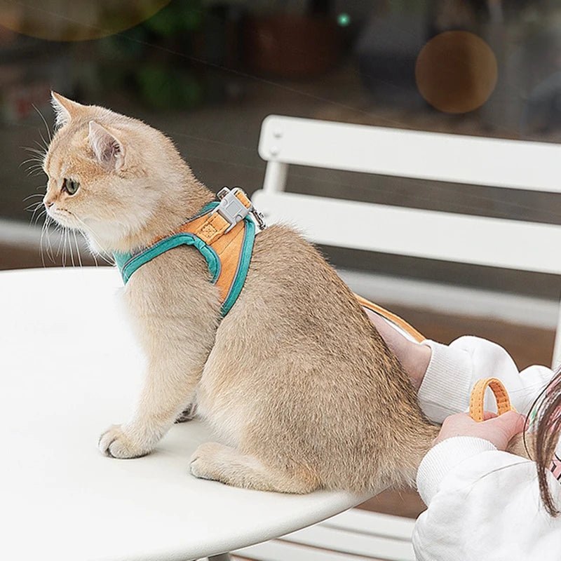 FreiKatz – Das sichere Katzengeschirr